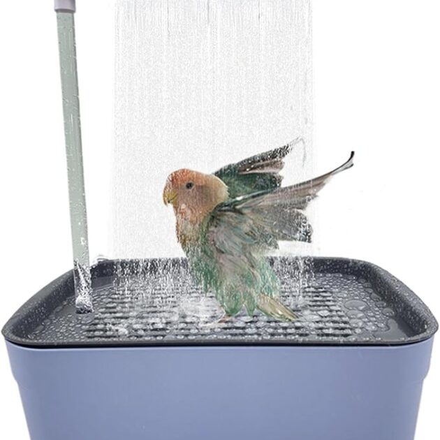 Baignoire pour Oiseaux